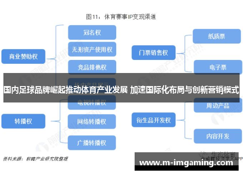 国内足球品牌崛起推动体育产业发展 加速国际化布局与创新营销模式