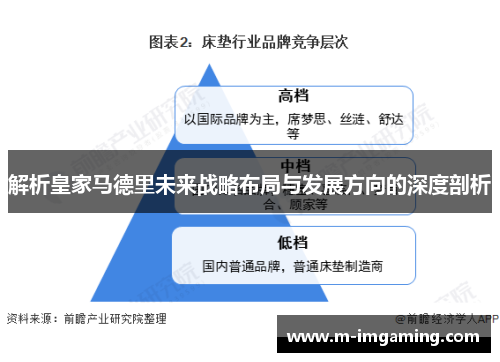 解析皇家马德里未来战略布局与发展方向的深度剖析