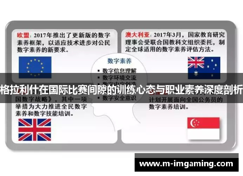 格拉利什在国际比赛间隙的训练心态与职业素养深度剖析