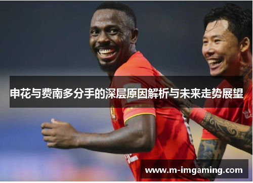 申花与费南多分手的深层原因解析与未来走势展望
