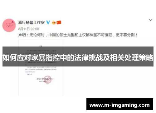 如何应对家暴指控中的法律挑战及相关处理策略