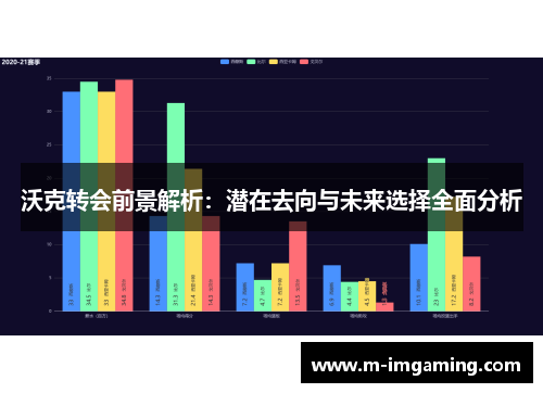 沃克转会前景解析：潜在去向与未来选择全面分析