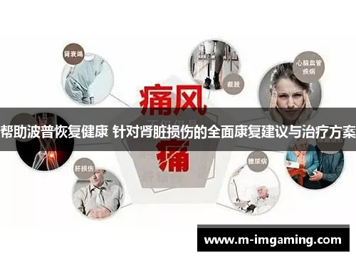 帮助波普恢复健康 针对肾脏损伤的全面康复建议与治疗方案