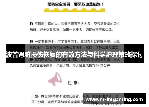 波普肾脏损伤恢复的有效方法与科学护理策略探讨
