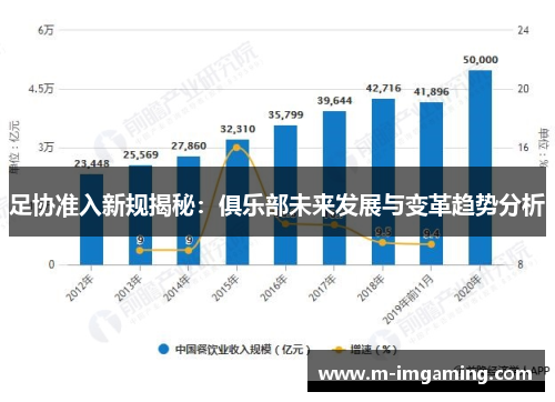 足协准入新规揭秘：俱乐部未来发展与变革趋势分析