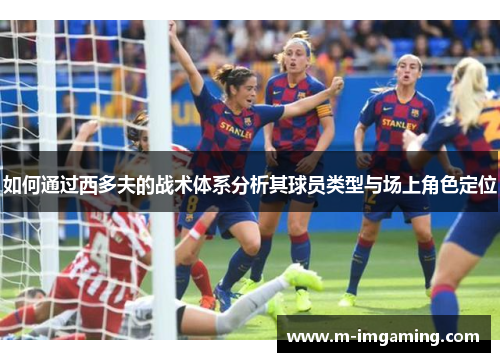 如何通过西多夫的战术体系分析其球员类型与场上角色定位