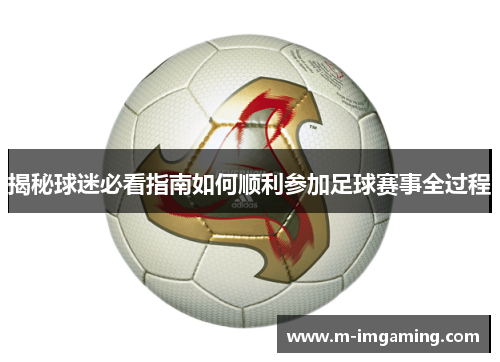 揭秘球迷必看指南如何顺利参加足球赛事全过程