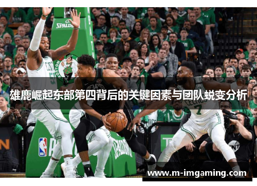 雄鹿崛起东部第四背后的关键因素与团队蜕变分析
