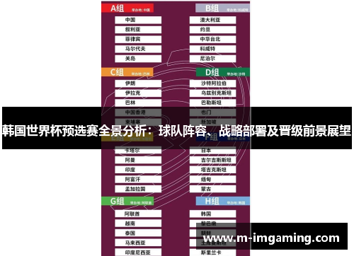 韩国世界杯预选赛全景分析：球队阵容、战略部署及晋级前景展望